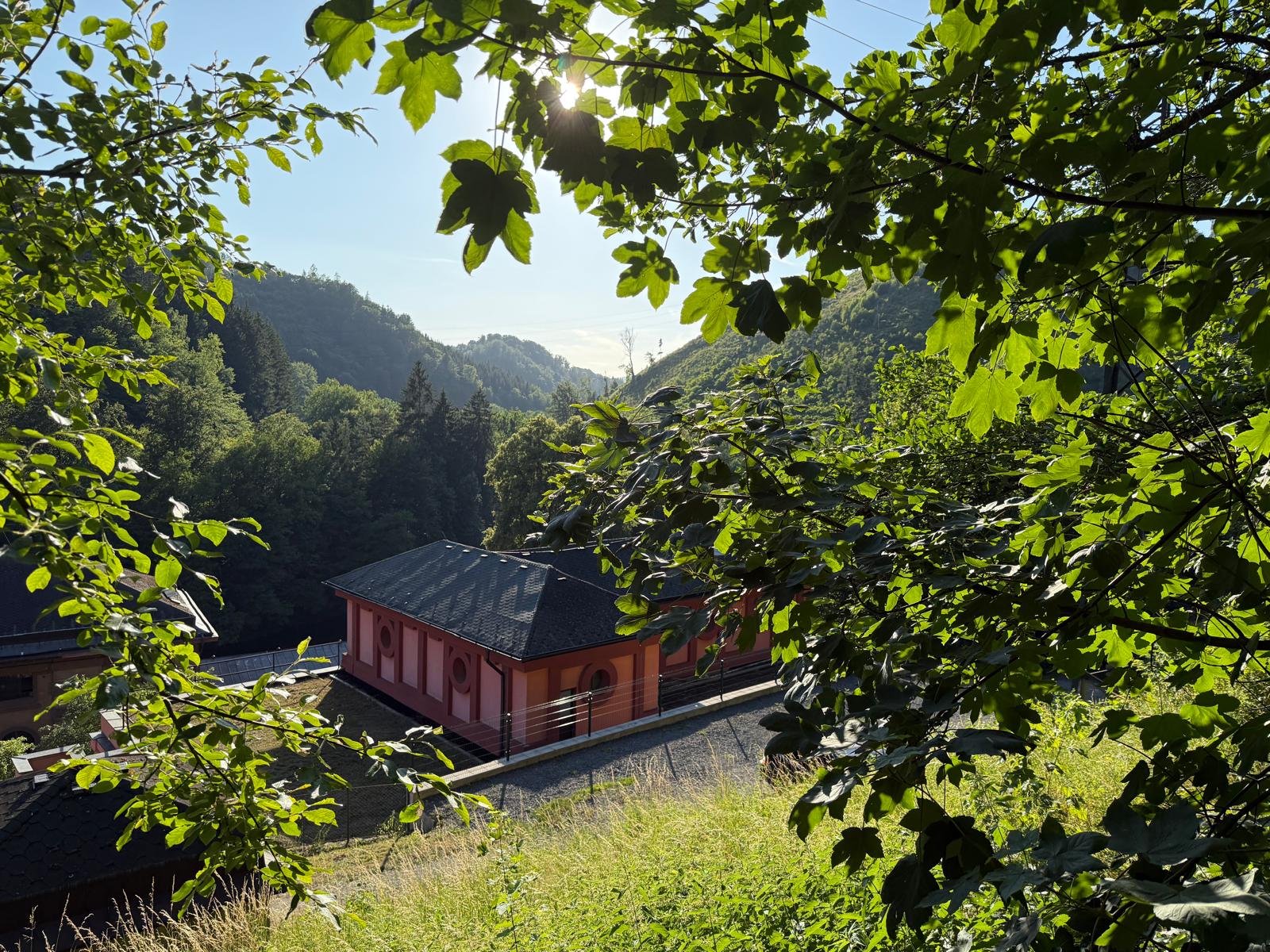 gallery-photo