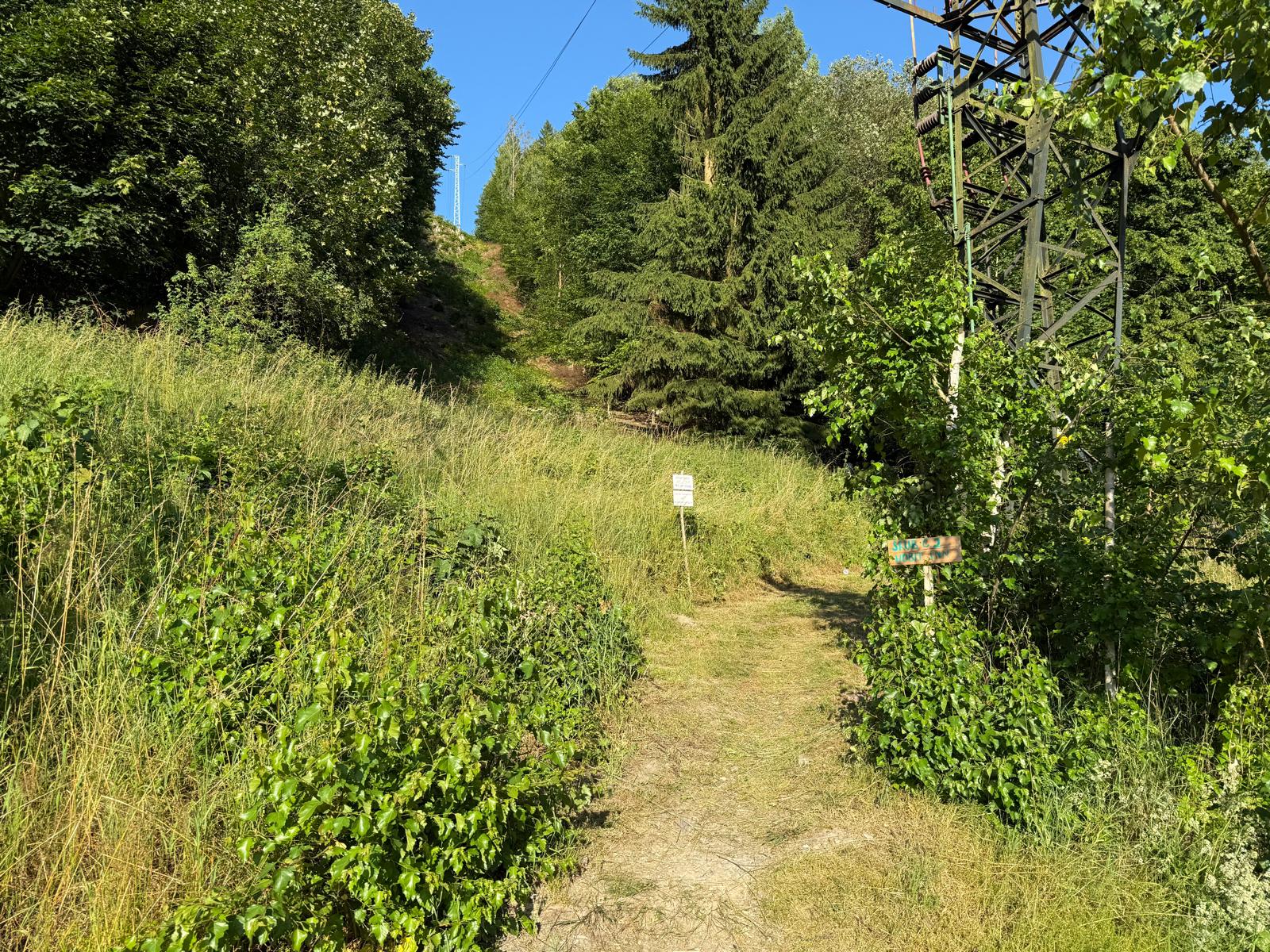 gallery-photo