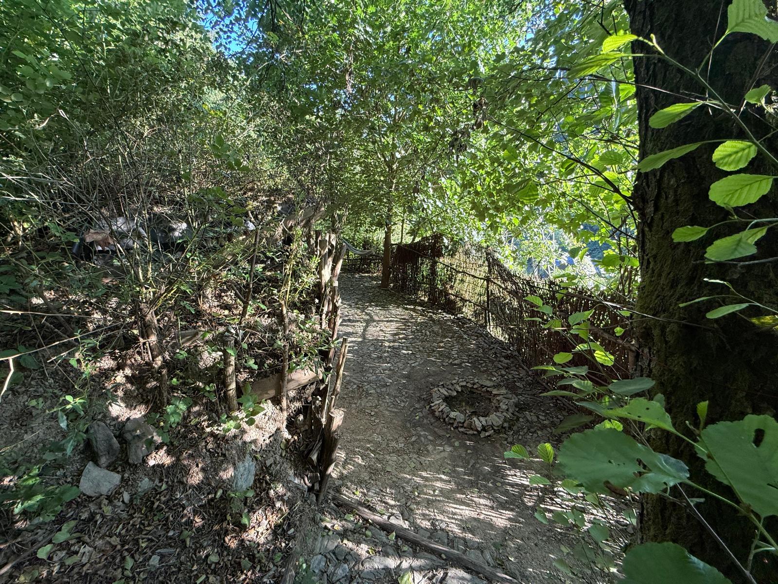 gallery-photo